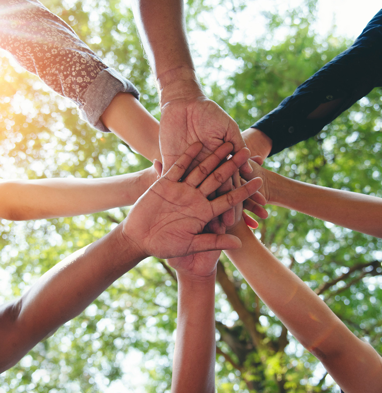 Nonprofit leadership reviewing organizational performance